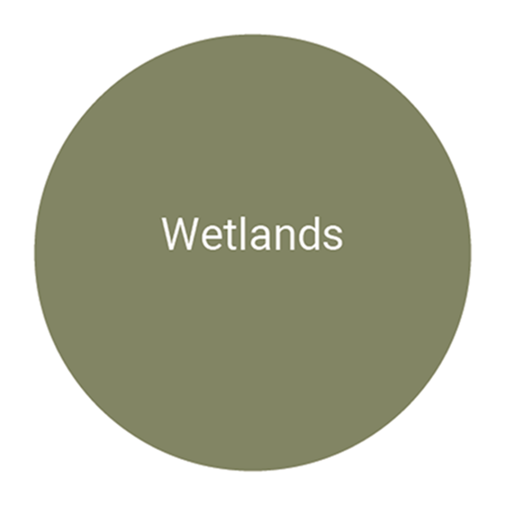 Histor Wetlands - PPG11-26